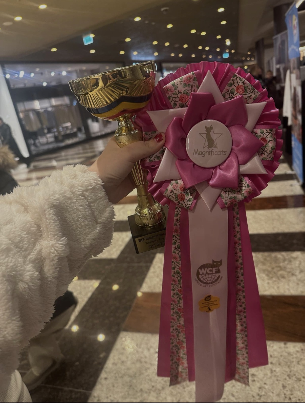 WCF International Cat Show Timișoara — Best in Show