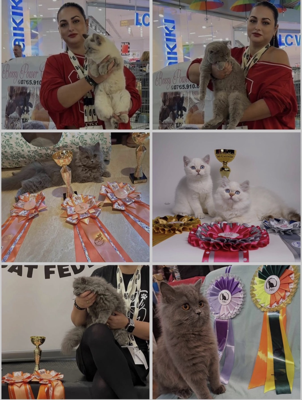 Bossy Power — expoziție