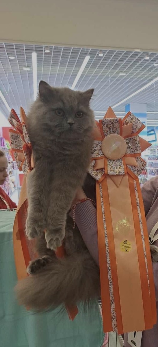 Bossy Power — expoziție